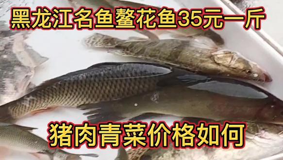 黑龙江名鱼鳌花鱼35元一斤真便宜,黄金沟豆角12元一斤,其他菜…