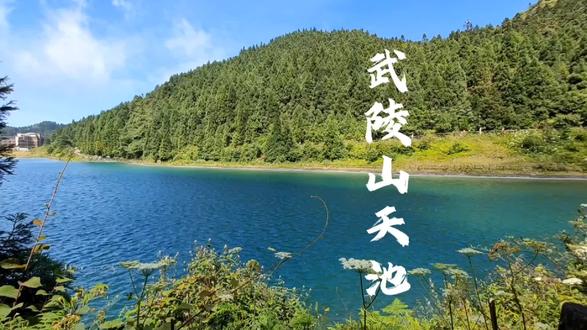 太热了!好想继续留在武陵山,享受那里的清凉与美景! #治愈系风景 #旅行 #旅行推荐官