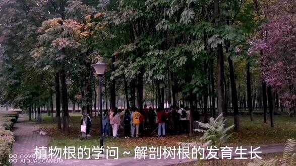 @中视频伙伴计划官号 @头条号 实践教学~解析树根发育生长 #研学 #社会实践 #校园生活