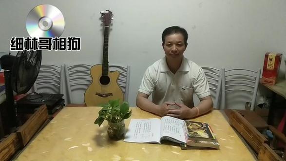 白狗!田园犬中的善良天使?相狗师告诉你…… #细林哥相狗
