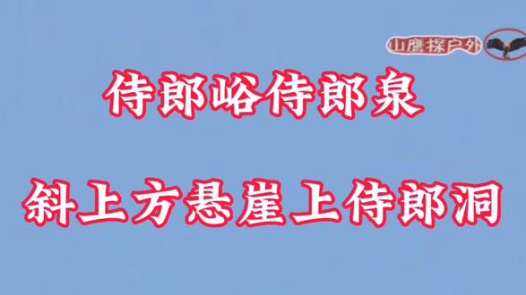 侍郎峪因侍郎埋葬在此得名,山环水绕,风景优美,龙湾侍郎洞在此 #洞穴探险 #悬崖峭壁