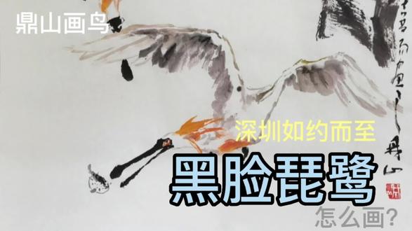 深圳湾刚到了一批国家一级保护鸟——黑脸琵鹭,怎么画呢?