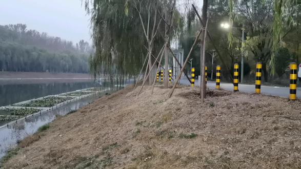 上庄水库下游 继续分享 #户外钓鱼 #野钓 #钓鱼人就是这么疯狂