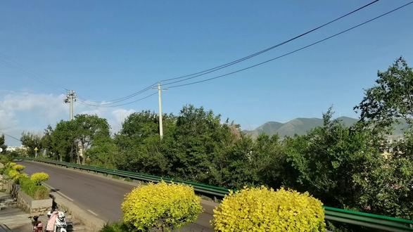 罕见500多字样的“龙”字—山西宁武龙山公园