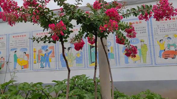 河南林州东姚镇东沟村的新貌 #最美乡村风景 #农村老家 #随手拍 #我的乡村生活 #下雨天 #乡愁记忆 #新农村