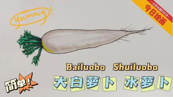 简笔—大白萝卜 水萝卜 白色的物品不好画,不要紧,跟我一起哦!#原创绘画 #简笔画教程 #想画就画 #零基础学画画