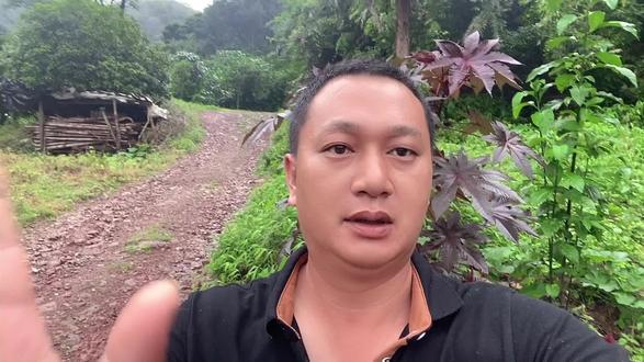 找了很多年才找到的“红蓖麻”,其有一定的观赏性,大家是否认识