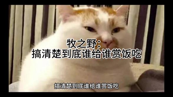 牧之野:搞清楚到底谁给谁赏饭吃