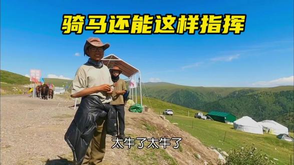 你肯定没见过,在新疆这里第一次发现骑马还能这样指挥,简单易学#旅游 #旅行推荐官 #自驾游 #新疆 #草原 #牧场