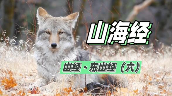 山海经·山经·东山经(六)