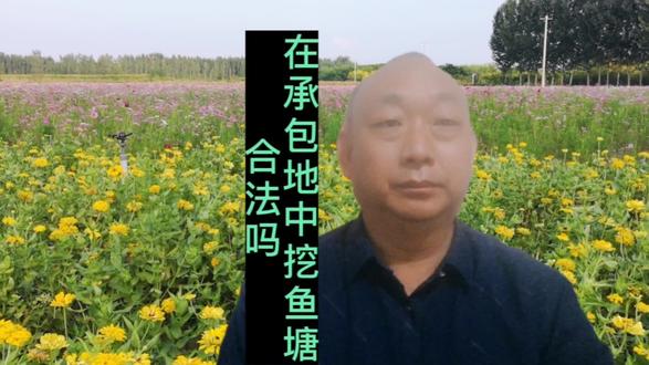 在承包地中挖鱼塘 合法吗 #法律科普