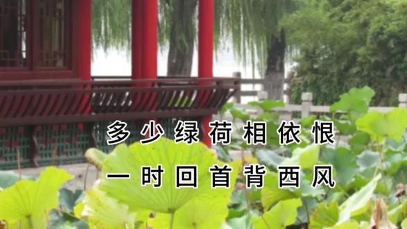 国学传承,唐诗欣赏 #国学文化 #唯美诗词