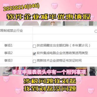 软件企业享受企业所得税减半优惠填报