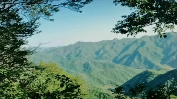 泰山游记 回马岭 #登泰山