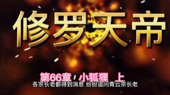 第66章 小狐狸 上