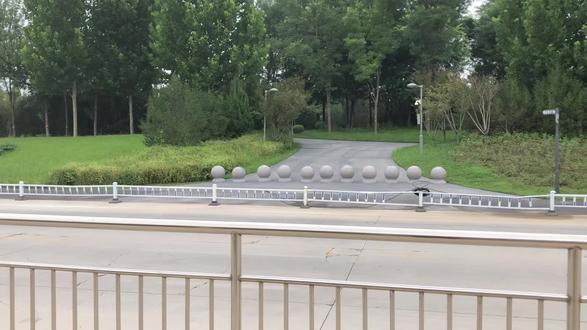 今天带大家攻略一下如何从容城县城到雄安高铁站,非常实用!#有轨电车 #轨道交通 #公交站台 #公共交通 #绿化带 #人行道