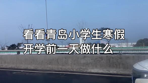 看看青岛小学生寒假开学前一天做什么