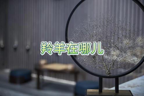 羚羊在哪儿,佛祖在哪里?你在哪里? #佛学 #佛法 #禅修 #佛教 #佛教文化