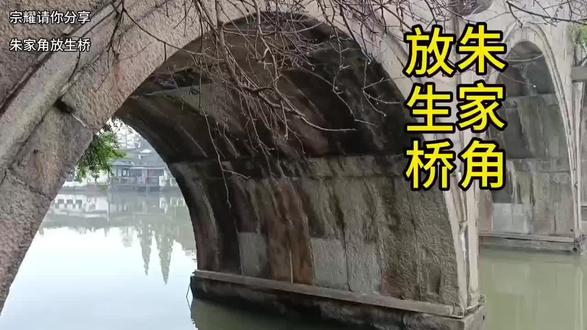 朱家角 放生桥 #古桥