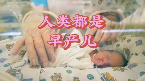 人类为何都是早产儿?揭秘进化中的生存智慧,生命一开始就很卷#育儿 #历史 #科普 #冷知识