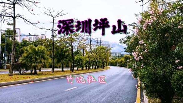 家人们今天从深圳坪山文化馆往竹坑社区走走看