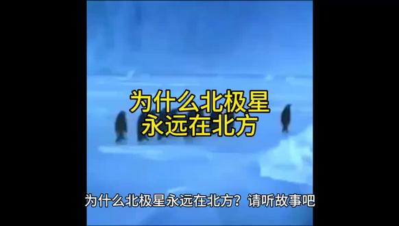 为什么北极星永远在北方 #百科 #百科知识 #百科知识问答 #儿童动画 #趣味知识
