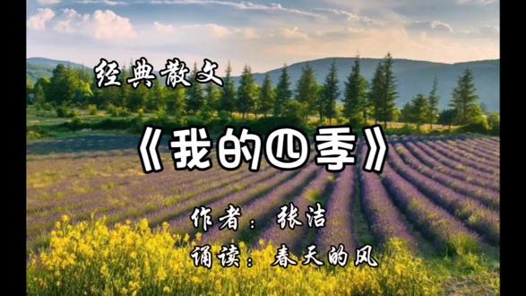 经典散文《我的四季》作者:张洁 诵读:春天的风