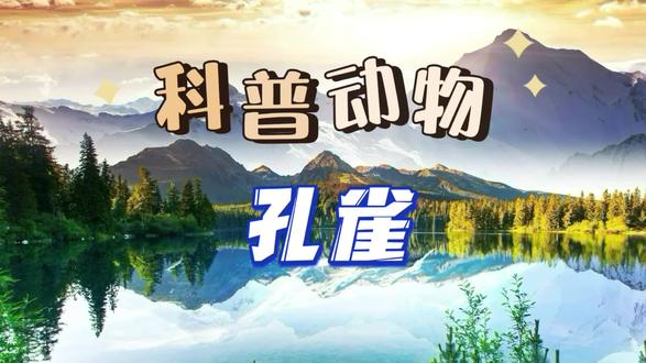 孔雀 #蓝孔雀 #孔雀开屏 #孔雀 #舞台表演 #孔雀开屏吉祥如意 #孔雀开屏好运气 #孔雀之冬 #方舟 #方舟生存进化 #孔雀姑娘