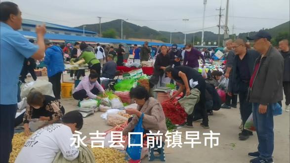 去永吉县口前镇,住一宿,早上去早市,农产品太多了