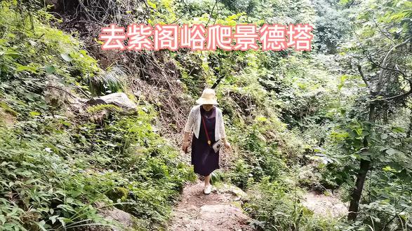 去紫阁峪观景德塔 #原始森林 #天然氧吧 #小众旅行