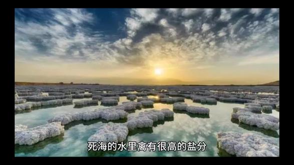 人在死海里为什么不会沉下去