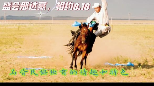 盛会那达慕相约8.18 #那达慕 #亲子游 #旅游攻略