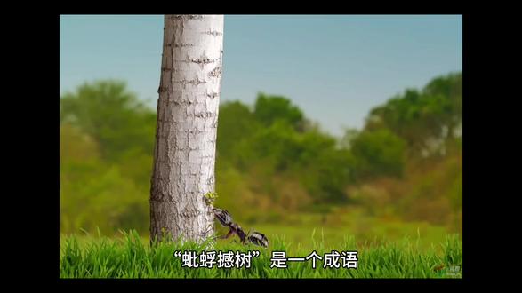 成语故事25:蚍蜉撼树