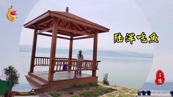 洛阳吃鱼哪里去?陆浑水库排第一,老伴说:想吃鱼了,马上安排#谁不说家乡美 #陆浑水库吃鲜鱼 #美食之旅