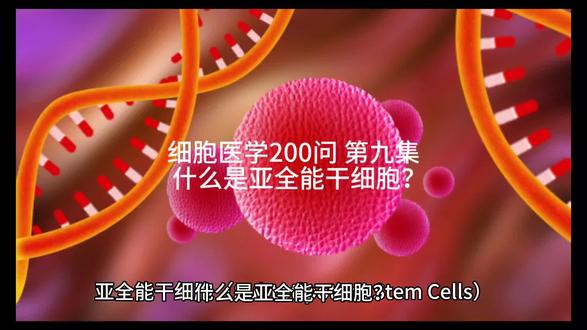 细胞医学200问 第九集
什么是亚全能干细胞? #免疫细胞 #免疫系统 #生命科学 #医学科普 #科普一下 #心脏 #肝脏 #科普健康知识 #人体 #免疫
