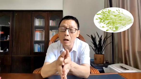 豌豆芽六个营养特质并不输绿豆芽,甚至更强
