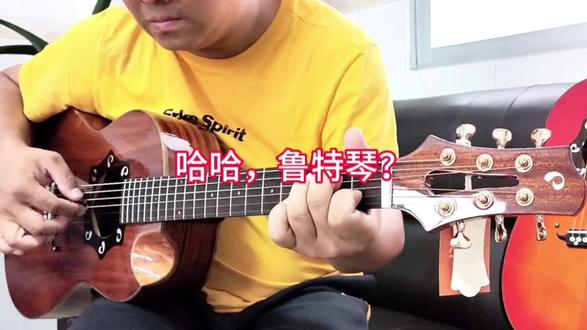 哈哈,你喜不喜欢“鲁特琴”?#吉他 #曼陀铃 #鲁特琴 #手工吉他 @抖音上热门