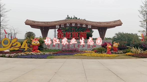 圭峰山风景(十四)#主题公园 #周边游 #生态环境 #城市公园 #湿地公园