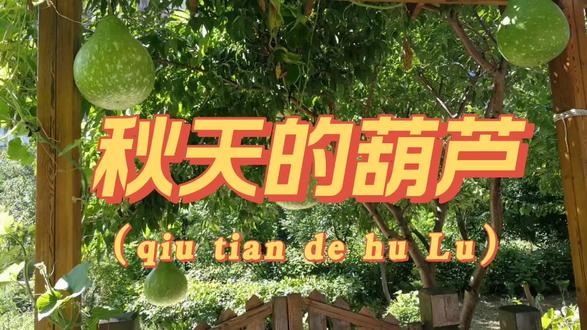 秋天的葫芦(小作文) #中视频伙伴计划 #我的菜园生活 #人生感悟