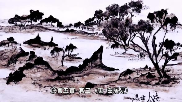 放言五首·其三(唐·白居易) #诗词