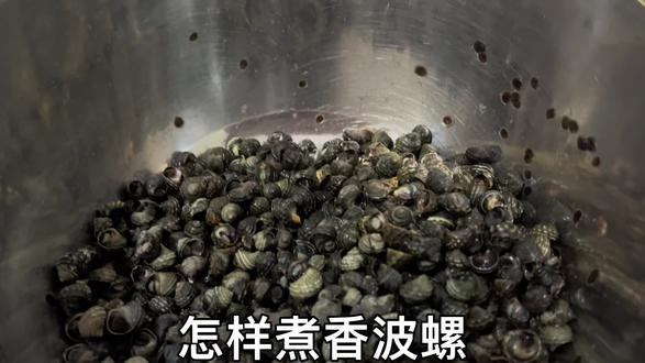 怎样煮香波螺肉不断 #煮香波螺