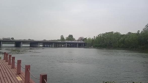 来到潍坊的白浪绿洲湿地公园景色优美在这驻车露营又被大风光顾了