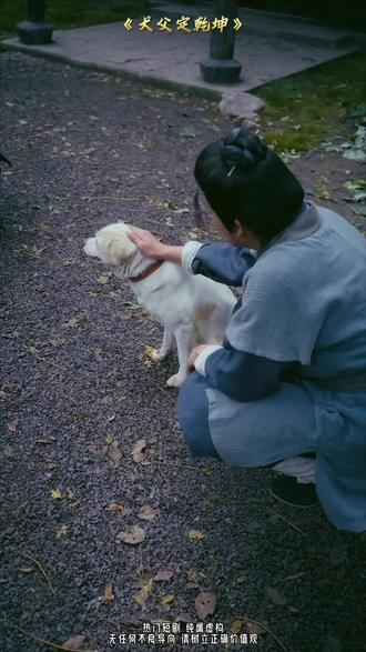 终于找到这种紧凑不啰嗦的甜文短剧了,好好嗑#短剧