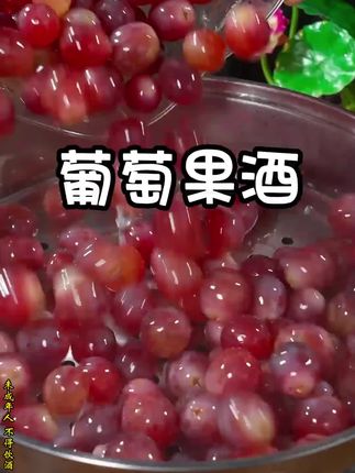 果酒酵母 #酵母 #果酒曲酿酒专用自制做水果酒曲子酵母西瓜发酵粉甜酒曲