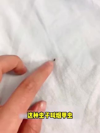 自从家里用了#蟑螂魔盒 家里就没有小强啦,还是不用火不用电的#好物分享 #母婴好物