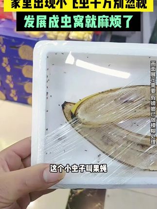 这款新型杀虫剂真的太好用了!大小几十种虫子都能灭。配方友好,家有宠物孕妈妈都能用!#驱虫#杀虫剂