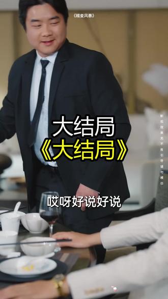《稽查风暴》精彩后续大结局,完整版