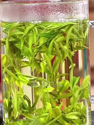 一斤装【2025新茶】都匀毛尖绿茶特级明前口粮茶浓香型云雾茶叶散装