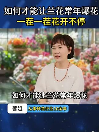 君子兰专用肥里面不仅含有开花必需的磷元素,还添加了氮元素、钾元素以及各种有机质和有益菌,营养特别全面。