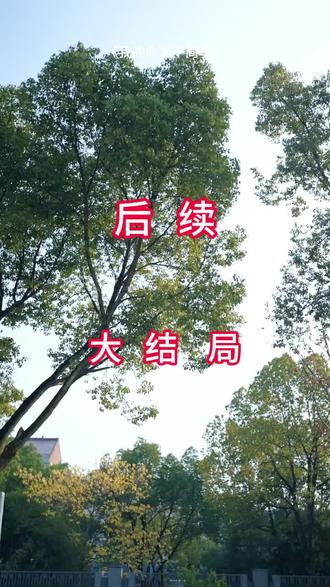 #短剧推荐#我的业主不简单